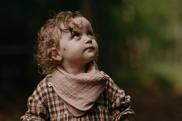 BIBS - Bavetica Bandana, Dusky Lilac