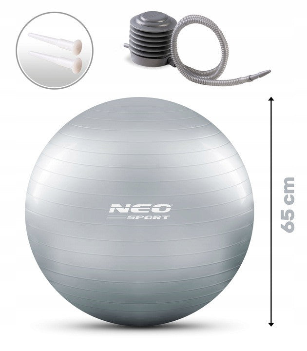 Minge pentru exercitii, diametru 65 cm, cu pompa inclusa, Neo-Sport, Gri
