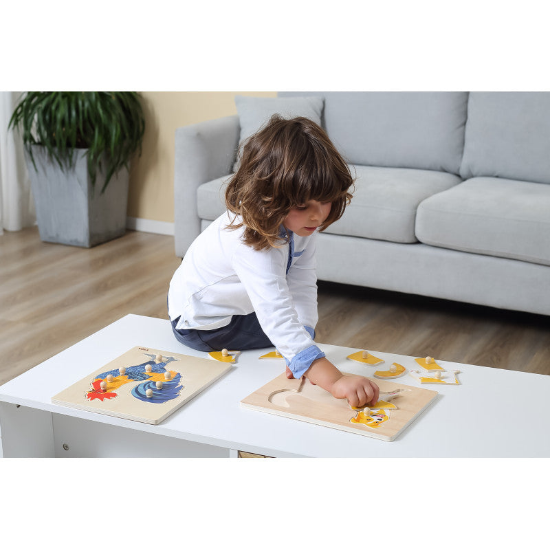 Puzzle Montessori, Cal, VIGA